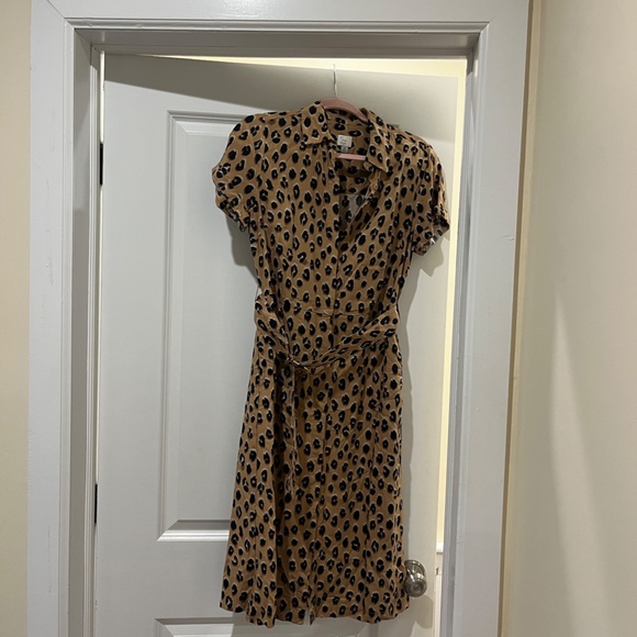 A New Day Knee-Length Leopard Dress with Belt, EUC - Picture 3 of 4
